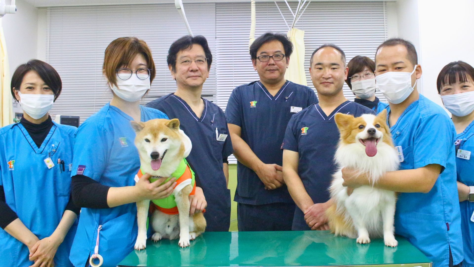 夜間診療で安心と成長を。りんくう動物救急医療協会の働きやすい環境を